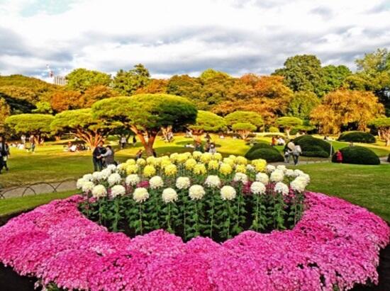 Mau Traveling ke Jepang? Ini 10 Tempat Wisata Paling Menarik di Jepang