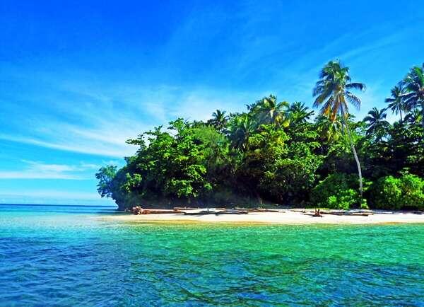 Pulau Rumberpon, Satu Lagi Eksotisme Surga Diving Papua
