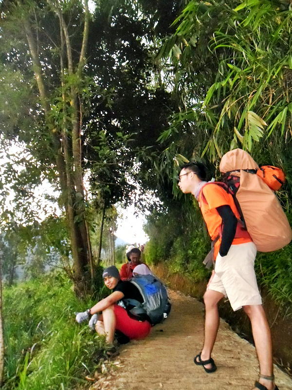 (CATPER) Terseok di Bayongbong, Terisak di Pemancar Menuju Cikuray 2821 mdpl