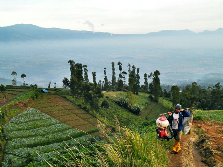 (CATPER) Terseok di Bayongbong, Terisak di Pemancar Menuju Cikuray 2821 mdpl