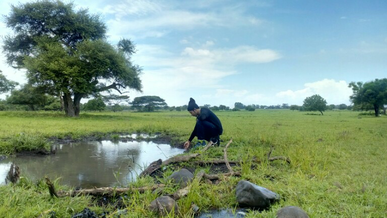 &#91;FR&#93; Liburan tipis ke TN.Baluran Banyuwangi , Afrika nya Indonesia