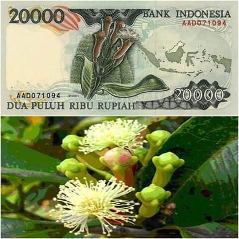 Ini dia tempat yang ada di mata uang kita gan.