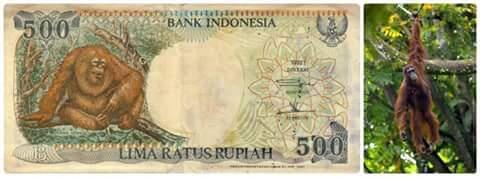 Ini dia tempat yang ada di mata uang kita gan.