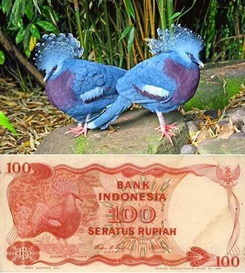 Ini dia tempat yang ada di mata uang kita gan.