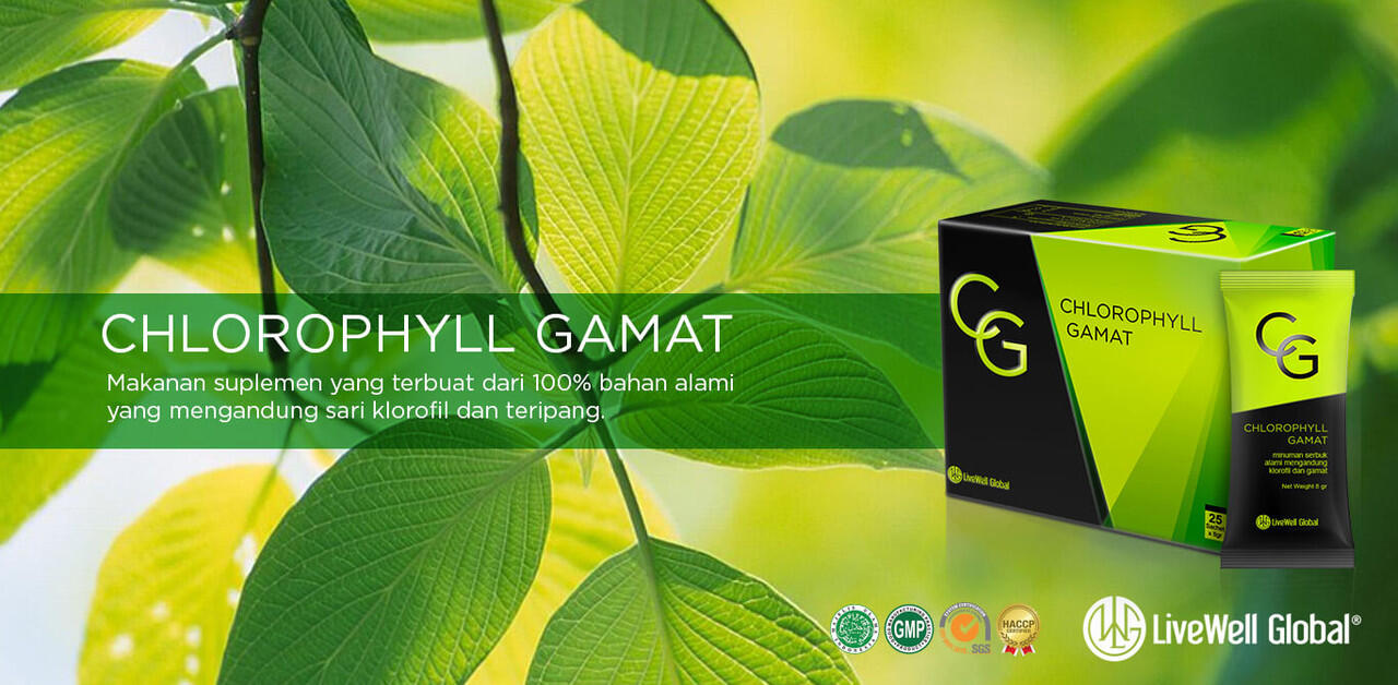 RESELLER CHLOROPHYLL GAMAT ! (Klorofil Gamat)