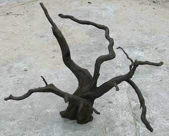 kayu untuk aquaspace akar kayu alami 087778384651