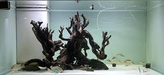 kayu untuk aquaspace akar kayu alami 087778384651