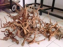 kayu untuk aquarium cantik dan alami