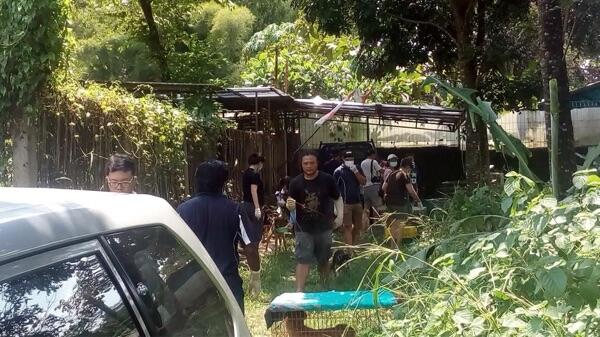 Pemilik Meninggal Dunia, 14 Anjing Mati Kelaparan di Gunung Sindur