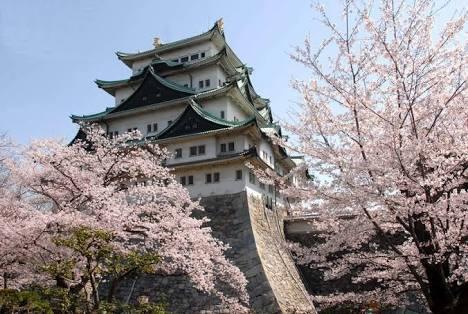 Cari Teman/Barengan Backpacker ke JEPANG/JAPAN (Tokyo,Kyoto,Osaka) 17-24 April 2016