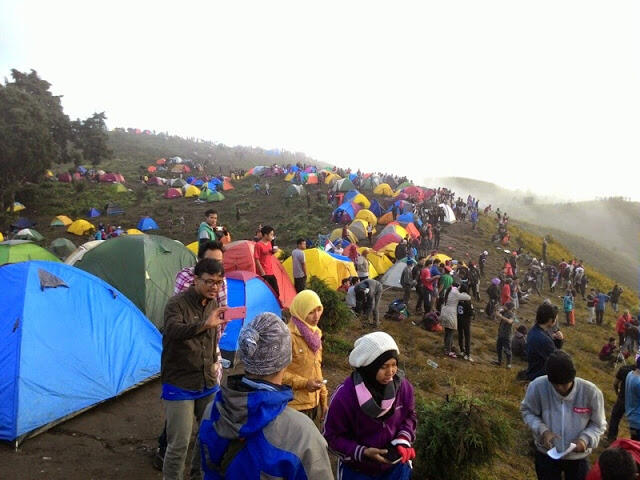 &#91;catper&#93; Gunung Prau, Sensasi Negeri di Atas Awan 