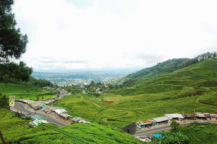 Tempat Wisata Kuliner Yang Populer Di Bogor