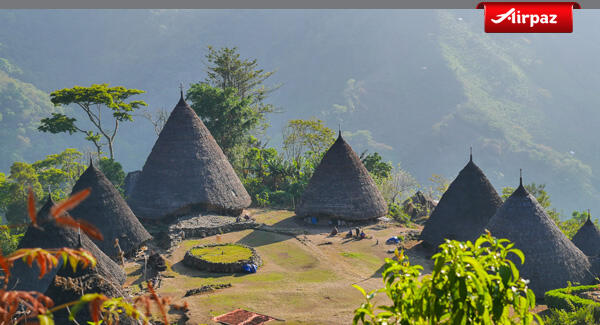 Mau Traveling ke Labuan Bajo? Wajib Mengunjungi Tempat Ini!