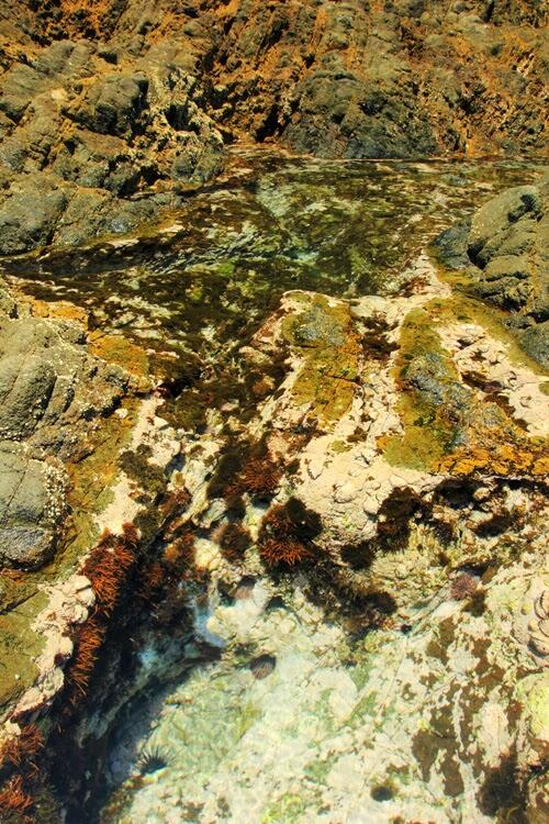 Pantai Semeti dan Akuarium Alam yang Cantik