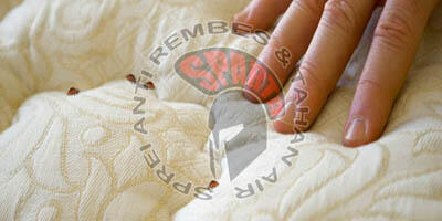 Sprei Waterproof SPARTA untuk Kesehatan. Anti Air ompol, Kutu, Jamur & Bakteri