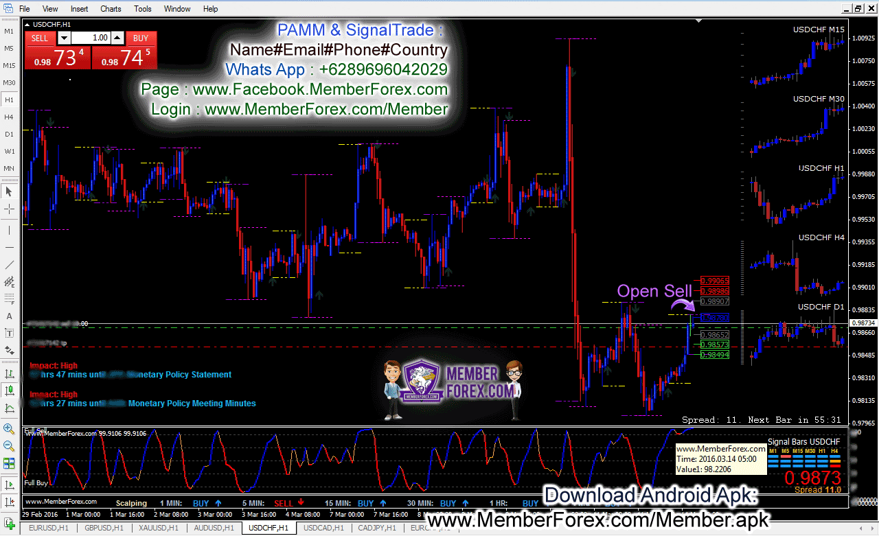 NinjaForex Strategy Daily Trade