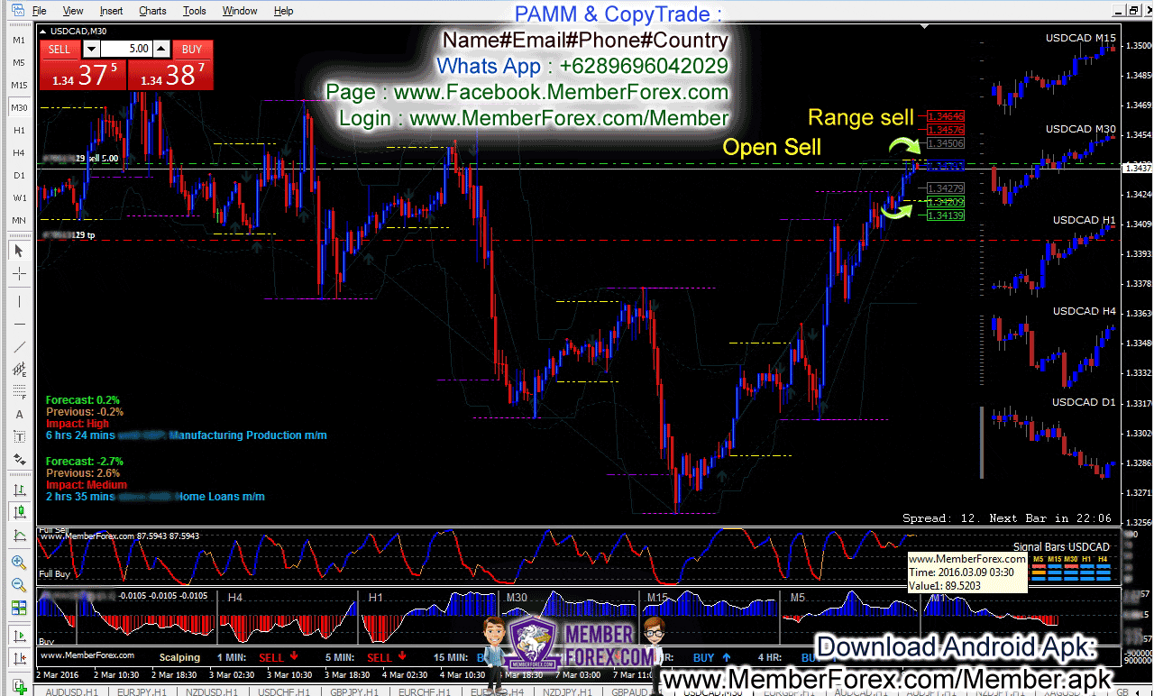 NinjaForex Strategy Daily Trade