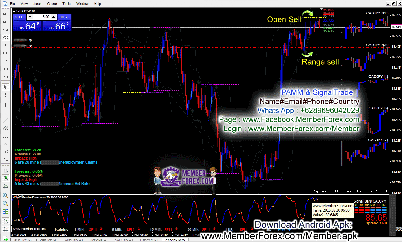 NinjaForex Strategy Daily Trade
