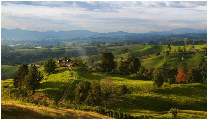 10 Negara Paling Ramah Lingkungan, Indonesia Masuk Nggak Ya?