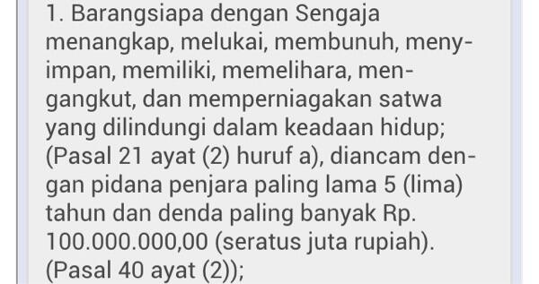 Hewan Dilindungi Diniagakan, Share It!!!