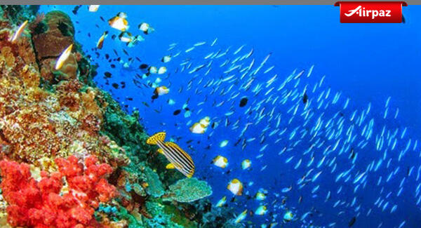 Traveling ke Manado, Kota Pesisir Berbukit