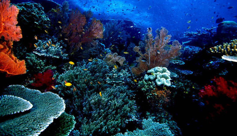 Traveling ke Manado, Kota Pesisir Berbukit