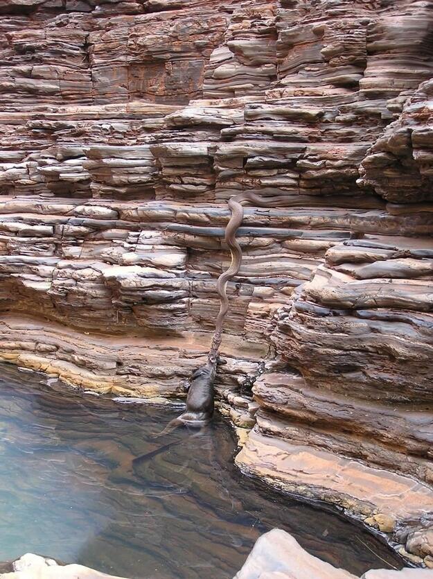 9 Alasan Untuk Tidak Mengunjungi Australia