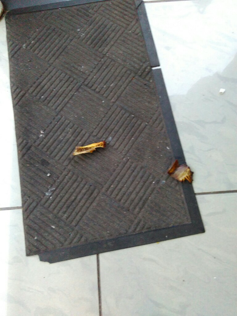 Kelakuan indo di bandara