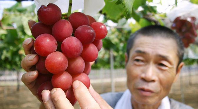 6 Buah Dengan Harga Yang Bakal Bikin Kamu Melongo