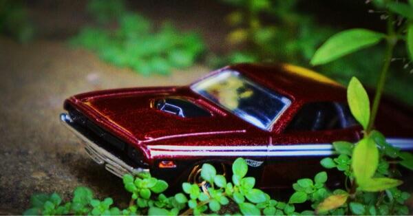 Ngumpul para pecinta Diecast Photography