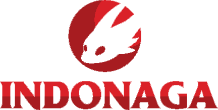 Website game online Indonesia &quot;IndoNaga&quot; (support java/android/WP/iOS/PC)