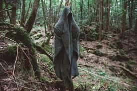 10 Hutan Paling Misterius di Dunia