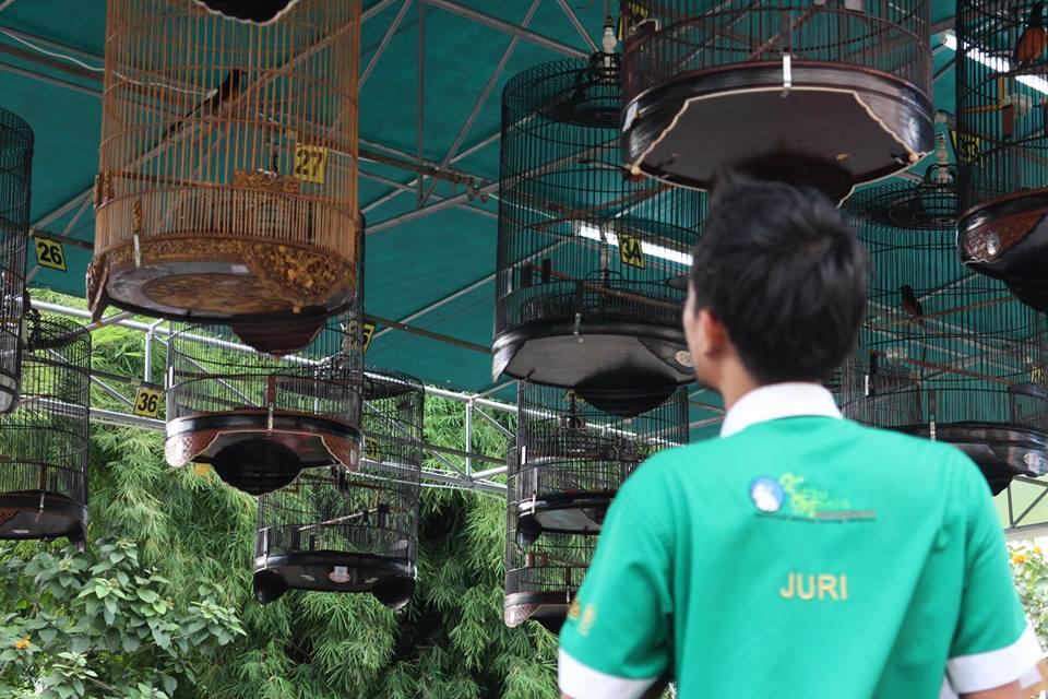 Info Kontes Burung Kicau - Mall Grand Cakung Jakarta TImur ( Official Thread )