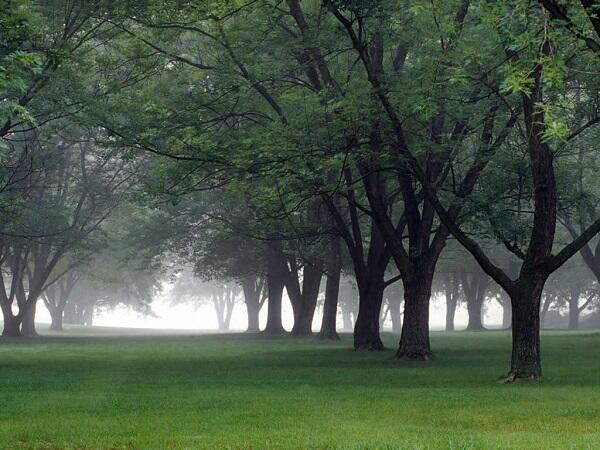 Taman Kece yang Ideal Menurut Ane Gan