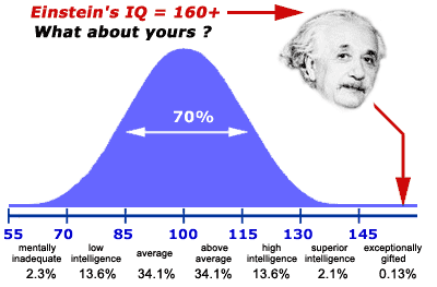 Yg kepengen Tau IQ Lo itu Berapa? Masuk sini Bray?