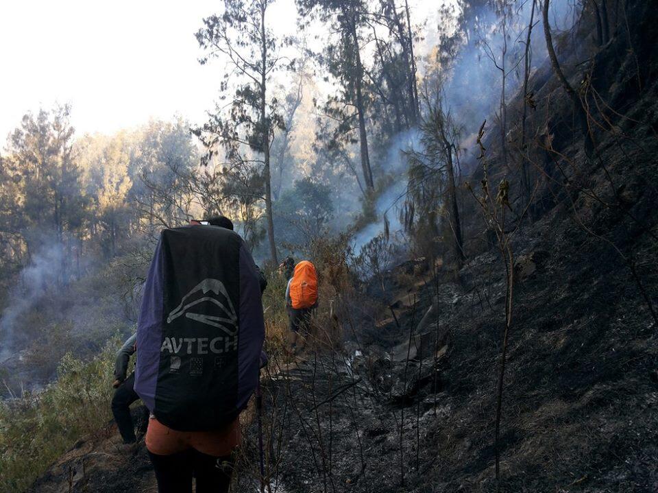 (FR+CATPER) Meregang Nyawa di Tengah Ganasnya Kebakaran Sang Hyang Argopuro