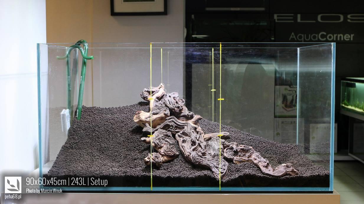 Desain aquarium anti mainstream, yang akan menginspirasi agan !