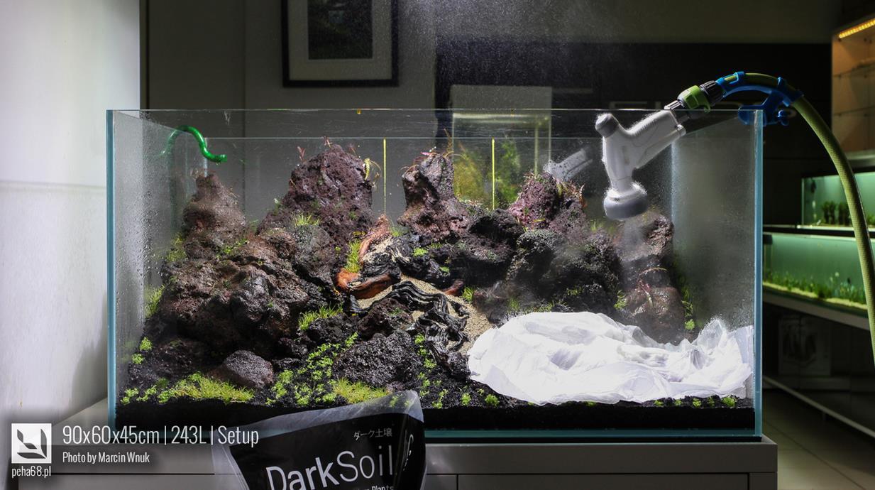 Desain aquarium anti mainstream, yang akan menginspirasi agan !