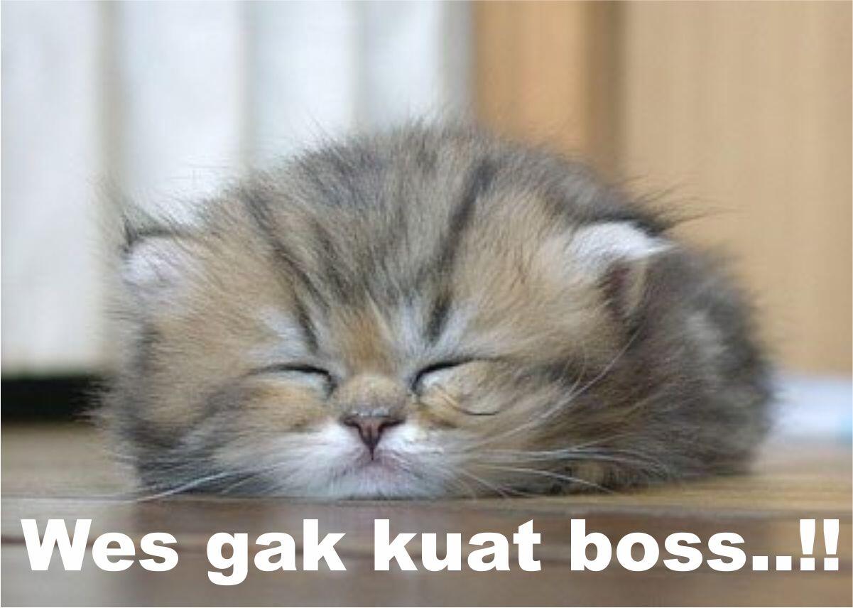 Jangan Coba-Coba Membawa Pulang Pekerjaan Ke Rumah