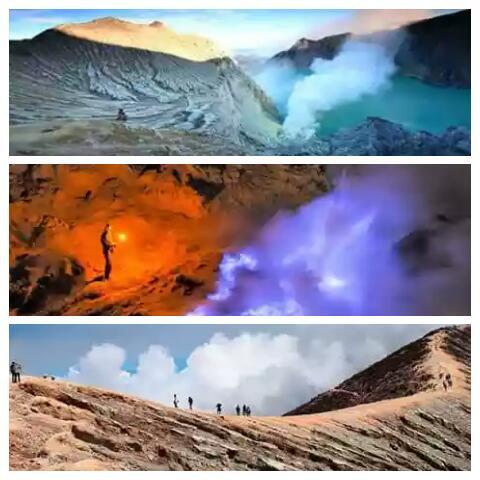 jasa wisata ijen n baluran