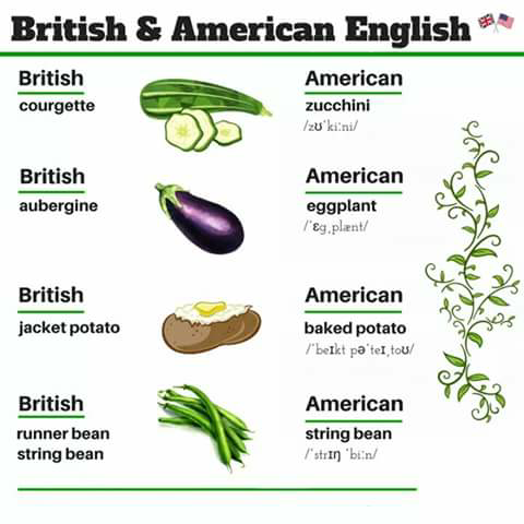 Perbedaan Bahasa Inggris British dan American
