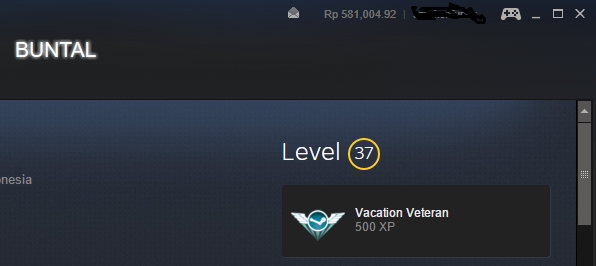 Steam lvl up сайты. 50 Уровень стим. 500 Уровень стим. Самый максимальный уровень в стиме. 500 Лвл стим.