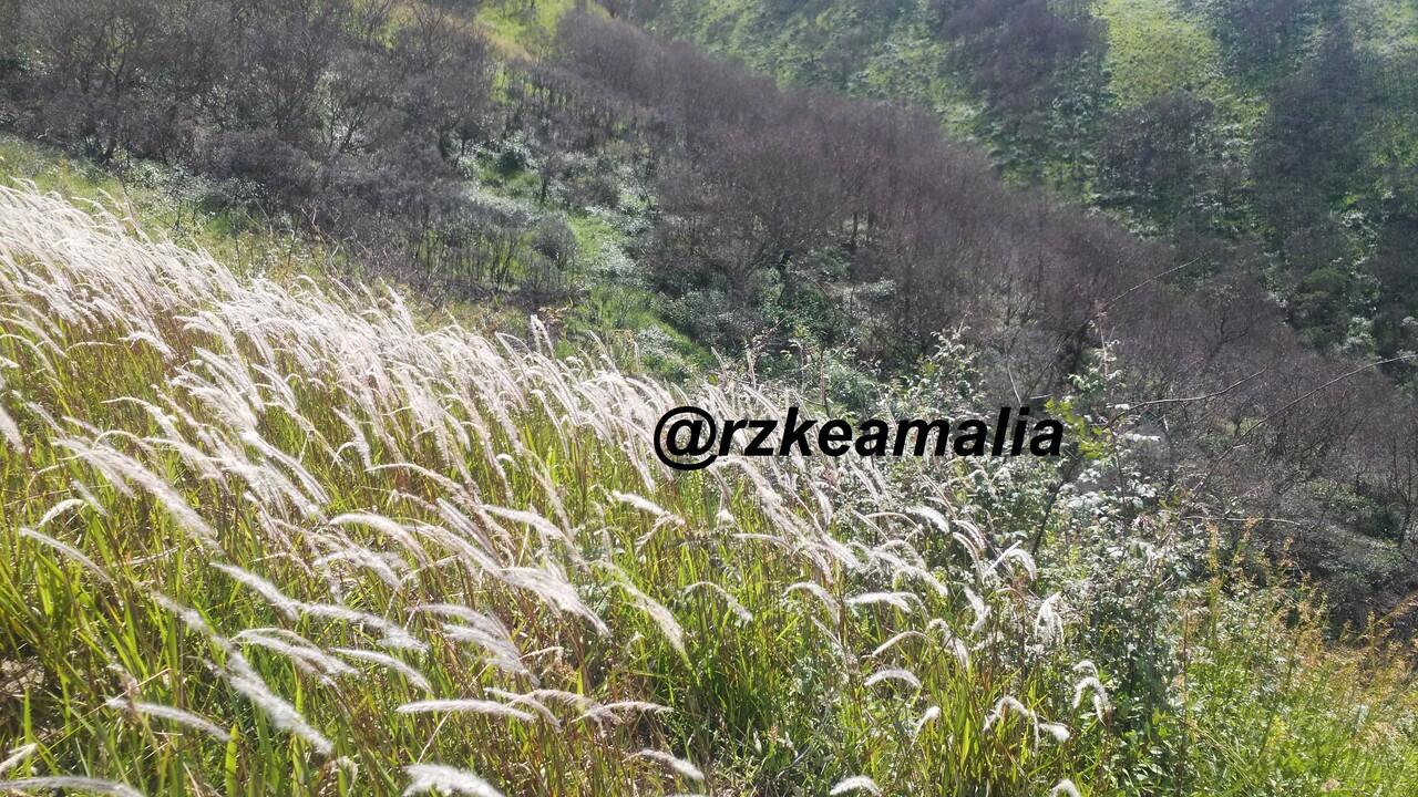 MERBABU SUWANTING, INDAH DI MATA-NANGIS DI DENGKUL