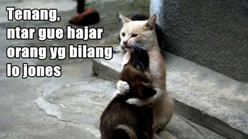 Meme Binatang bisa ngomong, Bikin Ngakak!