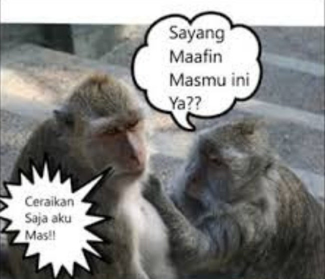 Meme Binatang bisa ngomong, Bikin Ngakak!