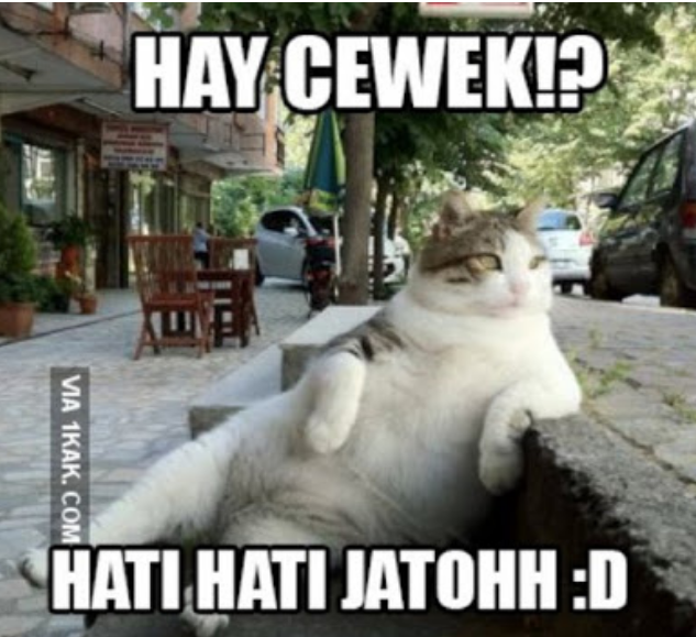 Meme Binatang bisa ngomong, Bikin Ngakak!