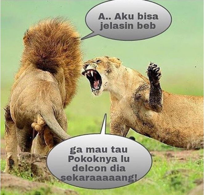 Meme Binatang bisa ngomong, Bikin Ngakak!