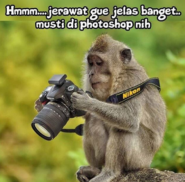Meme Binatang bisa ngomong, Bikin Ngakak!