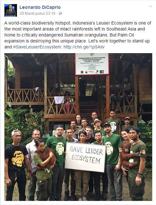 Ingin Bertemu Orangutan, Leonardo DiCaprio Diam-diam ke Aceh