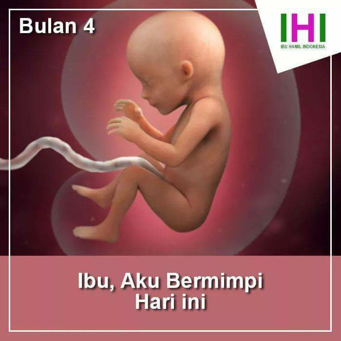 curhatan seorang bayi dalam kandungan seorang ibu